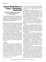 Novel rickettsia in ticks, Tasmania, Australia