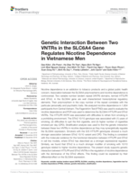 Genetic interaction between Two VNTRs in the SLC6A4 gene regulates nicotine dependence in Vietnamese Men