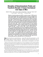 Disruption of hemochromatosis protein and transferrin receptor 2 causes iron-induced liver injury in mice