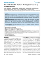 The FSHD atrophic myotube phenotype is caused by DUX4 expression