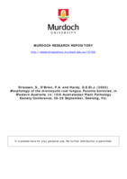 Morphology of the microcyclic rust fungus, Puccina boroniae, in Western Australia