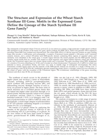 The structure and expression of the wheat starch synthase III gene. Motifs in the expressed gene define the lineage of the starch synthase III gene family