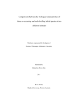 Comparisons between the biological characteristics of three co-occuring and reef-dwelling labrid species at two different latitudes