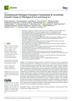Translational Chickpea Genomics Consortium to accelerate genetic gains in chickpea (Cicer arietinum L.)