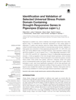 Identification and validation of selected universal stress protein domain containing drought-responsive genes in pigeonpea (Cajanus cajan L.)