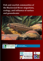 Fish and freshwater crayfish communities of the Blackwood River: migrations, ecology and the influence of surface and groundwater