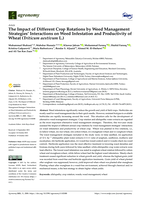 The impact of different crop rotations by weed management strategies’ interactions on weed infestation and productivity of wheat (Triticum aestivum L.)