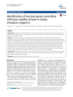 Identification of two key genes controlling chill haze stability of beer in barley (Hordeum vulgare L)