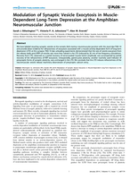 Modulation of synaptic vesicle exocytosis in muscle-dependent long-term depression at the amphibian neuromuscular junction