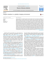 Seagrass meadows in a globally changing environment