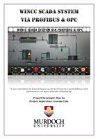 WINCC SCADA system via profibus & OPC