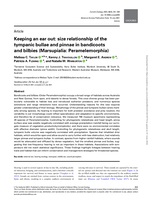 Keeping an ear out: Size relationship of the tympanic bullae and pinnae in bandicoots and bilbies (Marsupialia: Peramelemorphia)