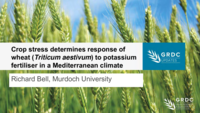 Crop stress determines response of wheat (Triticum aestivum) to potassium fertiliser in a Mediterranean climate