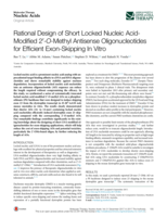 Rational design of short locked Nucleic Acid-Modified 2′- O -Methyl antisense oligonucleotides for efficient exon-skipping in vitro
