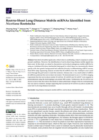 Root-to-shoot long-distance mobile miRNAs identified from Nicotiana rootstocks