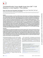 Transmitted/founder viruses rapidly escape from CD8+T cell responses in acute hepatitis C virus infection