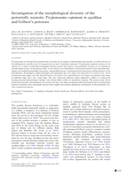 Investigation of the morphological diversity of the potentially zoonotic Trypanosoma copemani in quokkas and Gilbert's potoroos