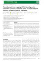 Nested‐association mapping (NAM)‐based genetic dissection uncovers candidate genes for seed and pod weights in peanut ( Arachis hypogaea )