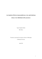 An analysis of Bovine immunodeficiency virus and Jembrana disease virus infections in Bos javanicus