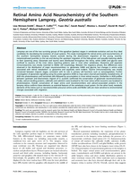 Retinal amino acid neurochemistry of the southern hemisphere lamprey, Geotria australis