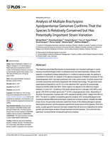 Analysis of multiple Brachyspira hyodysenteriae genomes confirms that the species is relatively conserved but has potentially important strain variation