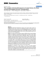 The complete mitochondrial genome of a basal teleost, the Asian arowana (Scleropages formosus, Osteoglossidae)