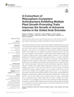 A consortium of Rhizosphere-Competent actinobacteria exhibiting multiple plant Growth-Promoting traits improves the growth of Avicennia marina in the United Arab Emirates