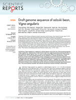 Draft genome sequence of adzuki bean, Vigna angularis