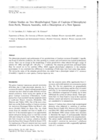 Culture studies on two morphological types of Caulerpa (Chlorophyta) from Perth, Western Australia, with a description of a new species