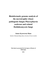 Bioinformatic genome analysis of the necrotrophic wheat-pathogenic fungus Phaeosphaeria nodorum and related Dothideomycete fungi