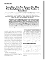 Nomenclature of the finer branches of the biliary tree: Canals, ductules, and ductular reactions in human livers