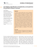 Serendipitous identification of Pratylenchus curvicauda from the grainbelt of Western Australia