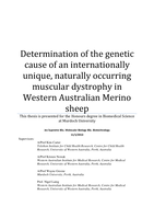 Determination of the genetic cause of an internationally unique, naturally occurring muscular dystrophy in Western Australian Merino sheep
