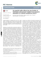 Are specific buffer effects the new frontier of Hofmeister phenomena? Insights from lysozyme adsorption on ordered mesoporous silica