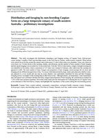 Distribution and foraging by non-breeding Caspian Terns on a large temperate estuary of south-western Australia – preliminary investigations