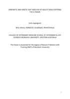 Kinematic and kinetic gait analysis of agility dogs entering the A-frame