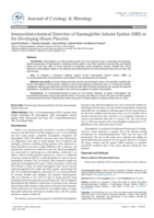 Immunohistochemical detection of haemoglobin subunit epsilon (HBE) in the developing mouse placenta