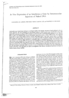 In vivo expression of an interferon-α gene by intramuscular injection of naked DNA