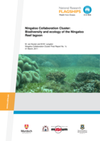 Ningaloo Collaboration Cluster: Biodiversity and ecology of the Ningaloo Reef lagoon. Ningaloo Collaboration Cluster Final Report No. 1c