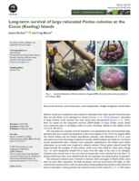 Long-term survival of large relocated Porites colonies at the Cocos (Keeling) Islands