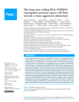 The long non-coding RNA GHSROS reprograms prostate cancer cell lines toward a more aggressive phenotype