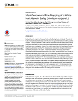 Identification and Fine Mapping of a White Husk Gene in Barley (Hordeum vulgare L.)