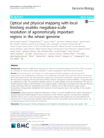 Optical and physical mapping with local finishing enables megabase-scale resolution of agronomically important regions in the wheat genome