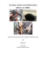 Eucalyptus wandoo crown decline and its influence on wildlife