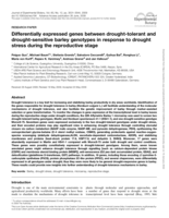 Differentially expressed genes between drought-tolerant and drought-sensitive barley genotypes in response to drought stress during the reproductive stage