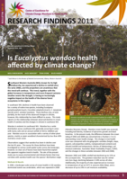 Is Eucalyptus wandoo health affected by climate change?