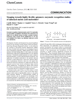 Stepping towards highly flexible aptamers: Enzymatic recognition studies of unlocked nucleic acid nucleotides