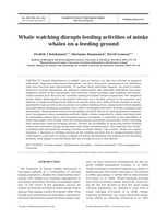 Whale watching disrupts feeding activities of minke whales on a feeding ground