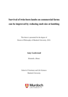 Survival of twin-born lambs on commercial farms can be improved by reducing mob size at lambing