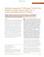 Fast‐Track introgression of “ QTL‐hotspot” for root traits and other drought tolerance traits in JG 11, an elite and leading variety of chickpea